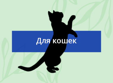 MadPet