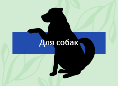 MadPet