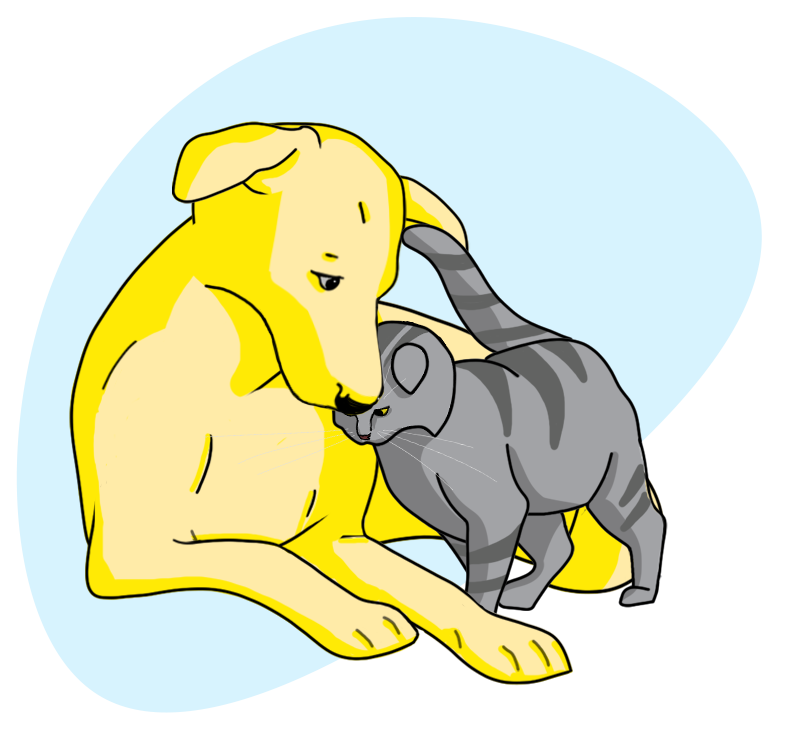 MadPet